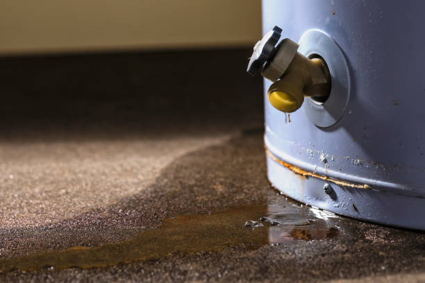 Best Flooded house restoration  in Mount Oliver, PA