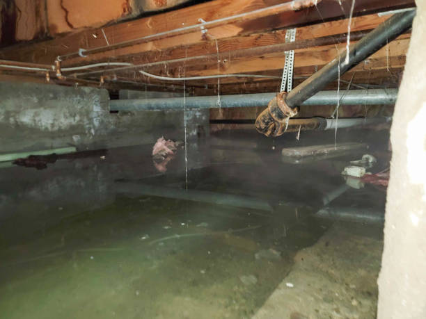 Best 24/7 water damage repair  in Mount Oliver, PA