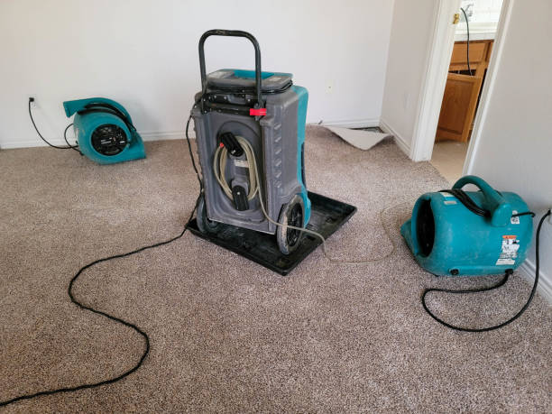 Best Carpet water damage restoration  in Mount Oliver, PA