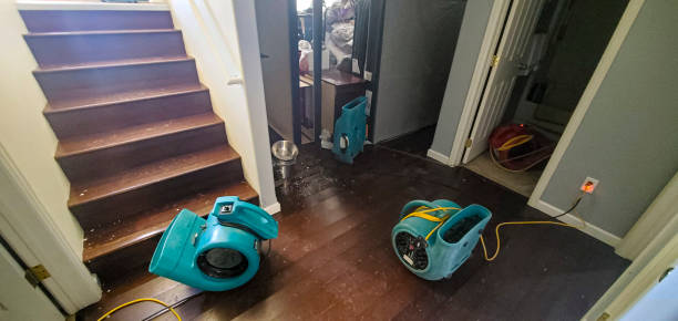 Best Water damage restoration near me  in Mount Oliver, PA