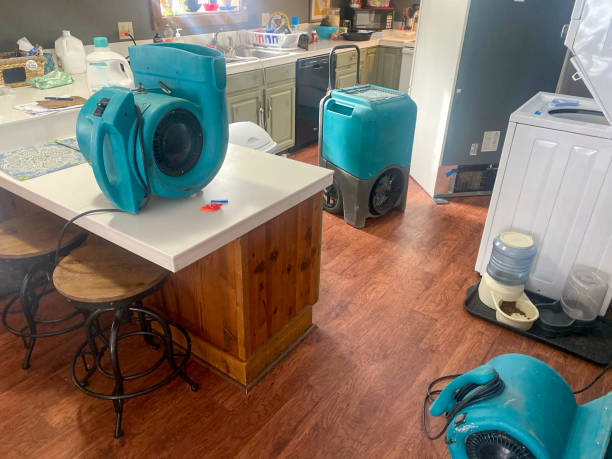 Best Water damage contractors near me  in Mount Oliver, PA