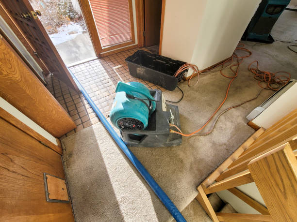 Best Flood damage cleanup  in Mount Oliver, PA