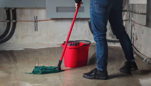 Best Water damage restoration company  in Mount Oliver, PA