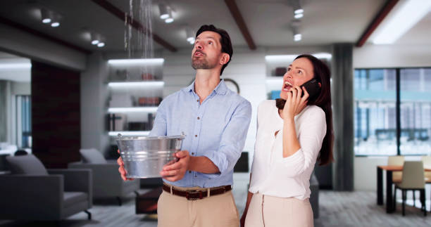 Best 24-hour water damage restoration  in Mount Oliver, PA