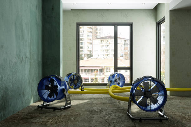 Best Sewage cleanup and water damage restoration  in Mount Oliver, PA